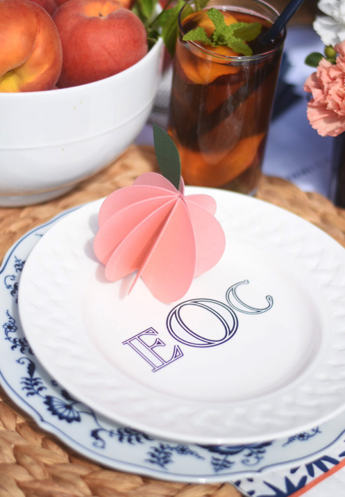 Peach Summer Outdoor Party by Pineapple Paper Co. with Martha Stewart, Cricut, and Michaels