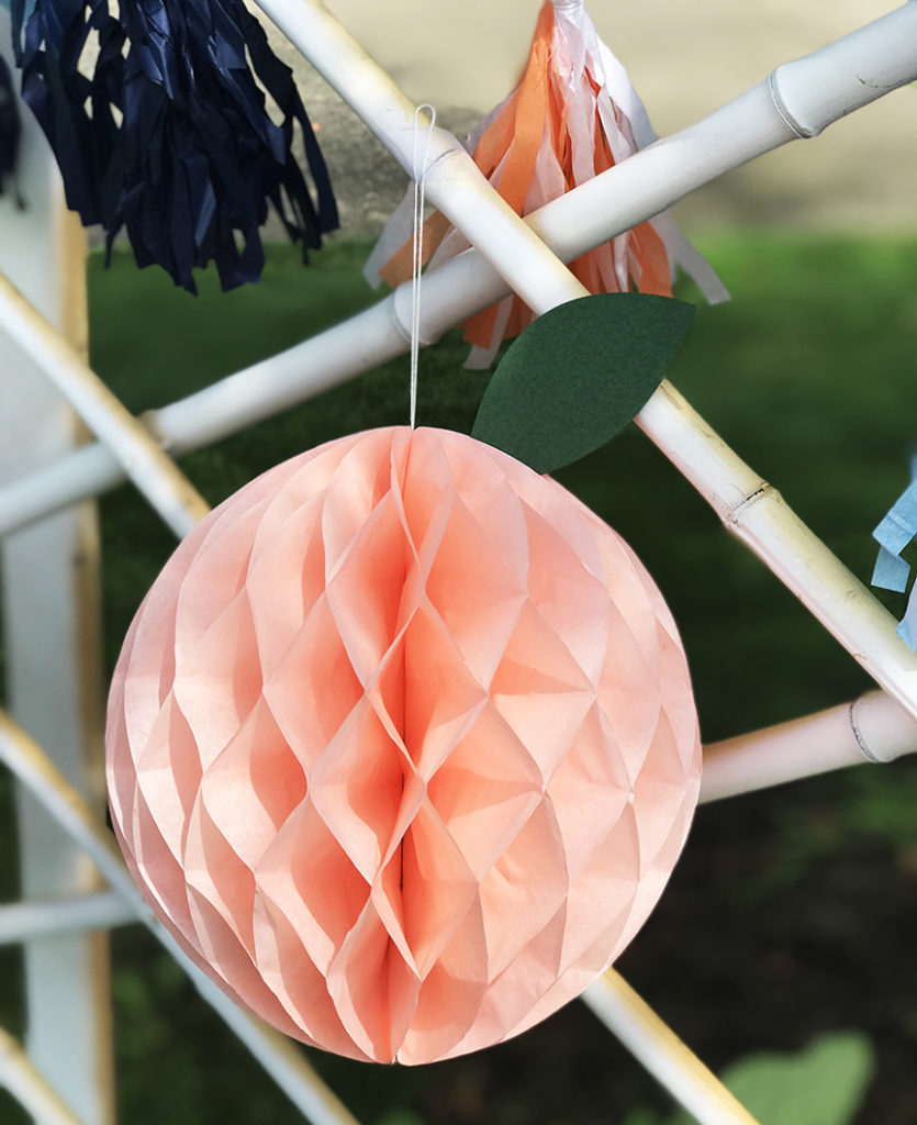 3D Peach Honeycomb by Pineapple Paper Co.