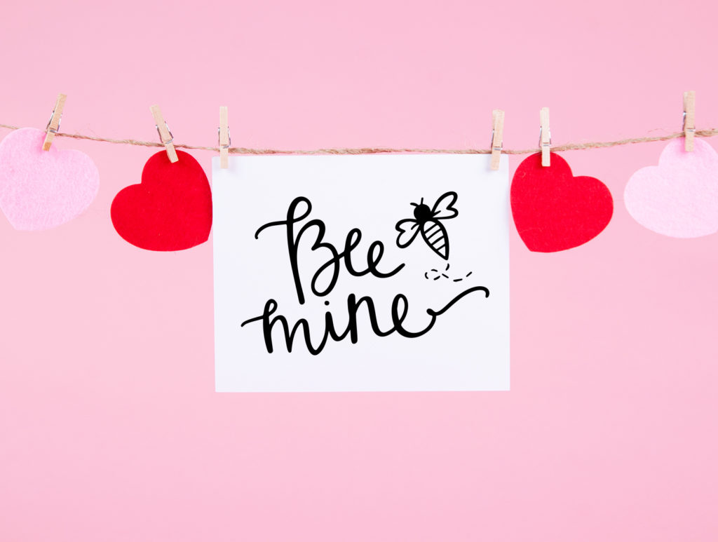Bee Mine Handmade Valentine's Day Card with Free SVG by Pineapple Paper Co.