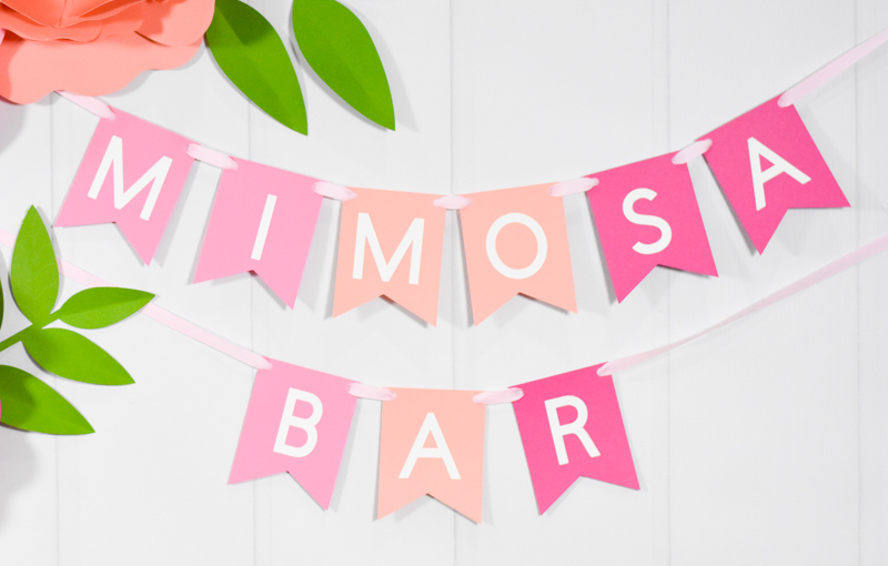 DIY Mimosa Bar with Simple Ingredients and How to Make Mimosa Bar Decorations with your Cricut by Pineapple Paper Co.