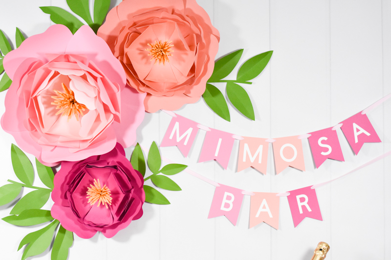 DIY Mimosa Bar with Simple Ingredients and How to Make Mimosa Bar Decorations with your Cricut by Pineapple Paper Co.
