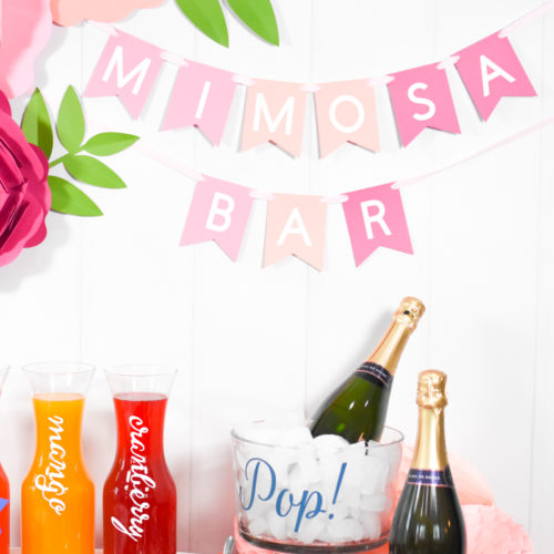 DIY Mimosa Bar with Simple Ingredients and How to Make Mimosa Bar Decorations with your Cricut by Pineapple Paper Co.