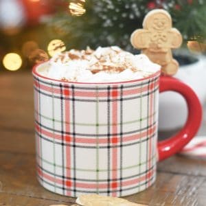 DIY Gingerbread Coffee Syrup Recipe to Make a Gingerbread Latte for the Holidays by Pineapple Paper Co.