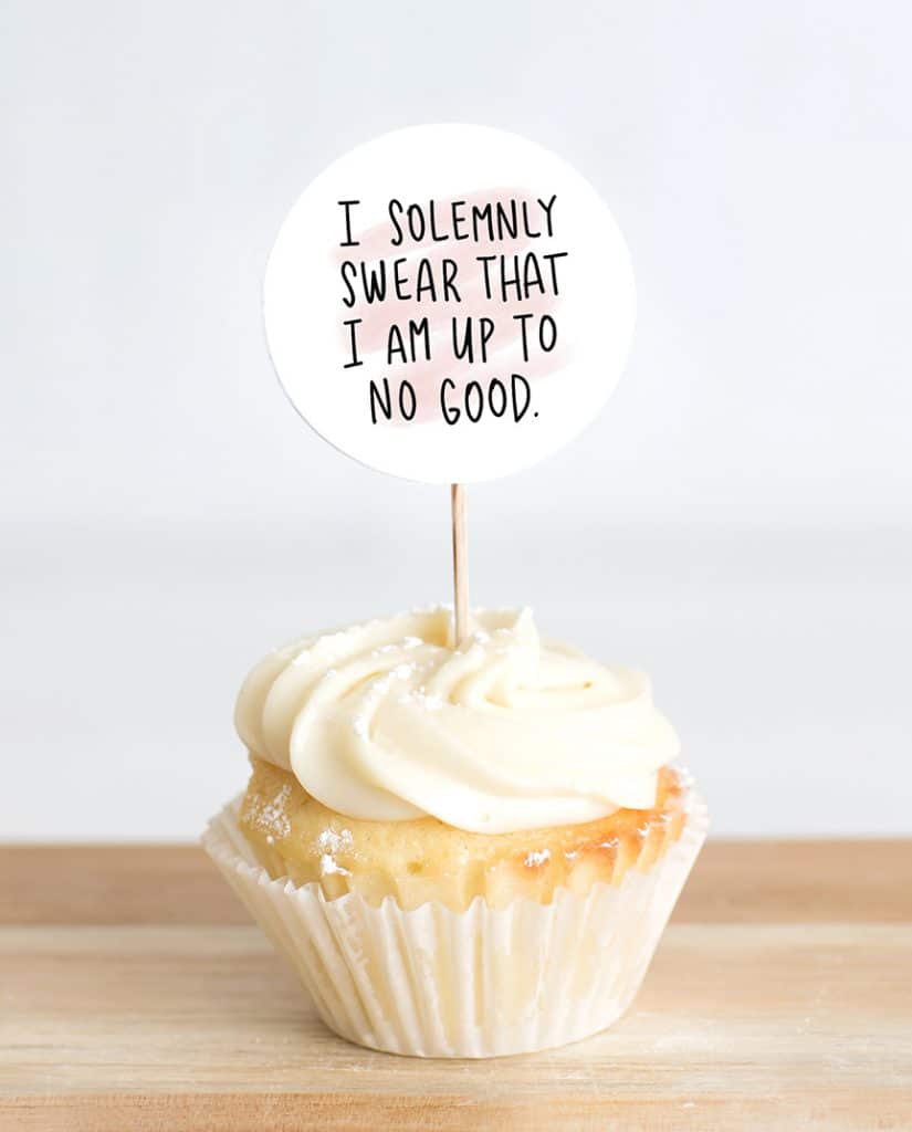 Free Harry Potter Printable Stickers on a Cupcake Toppers for Planners & Crafts by Pineapple Paper Co.