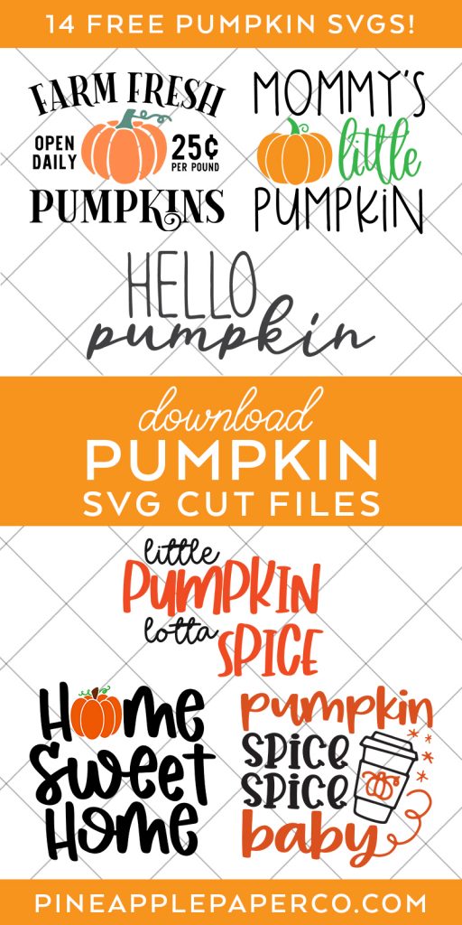 Free Pumpkin SVG Files at Pineapple Paper Co.