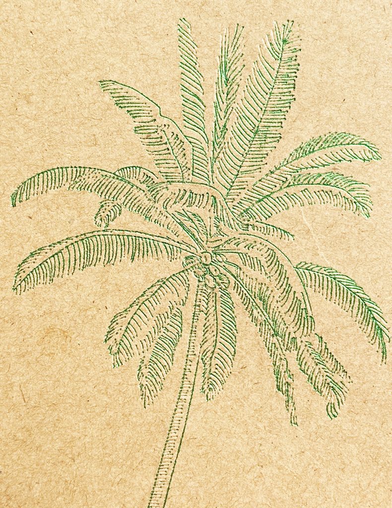 Palm Tree Made with Cricut Foil Transfer System