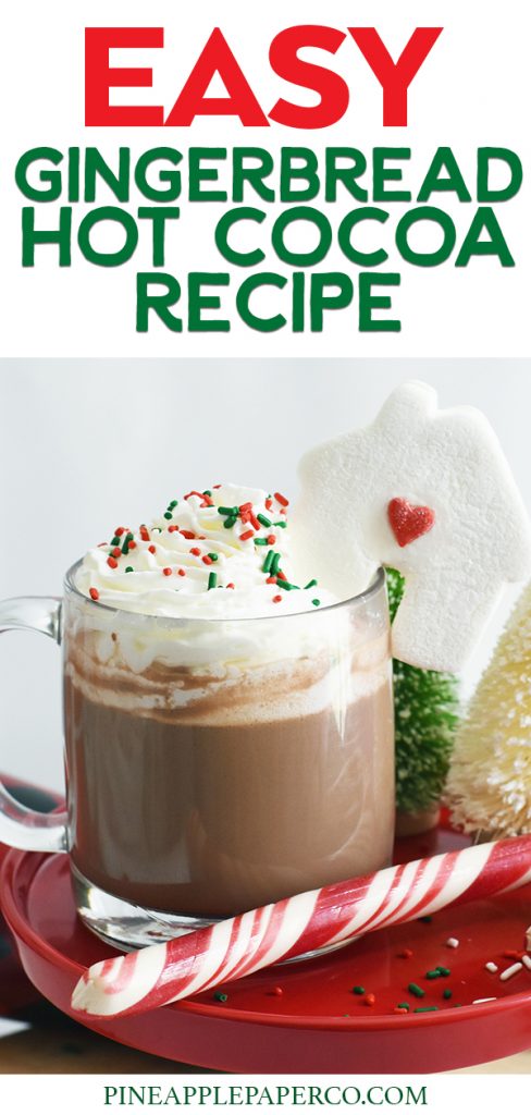Gingerbread Hot Chocolate Recipe