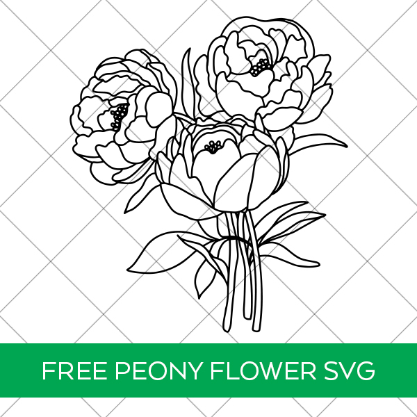 Free Peony Flower Bouquet SVG File
