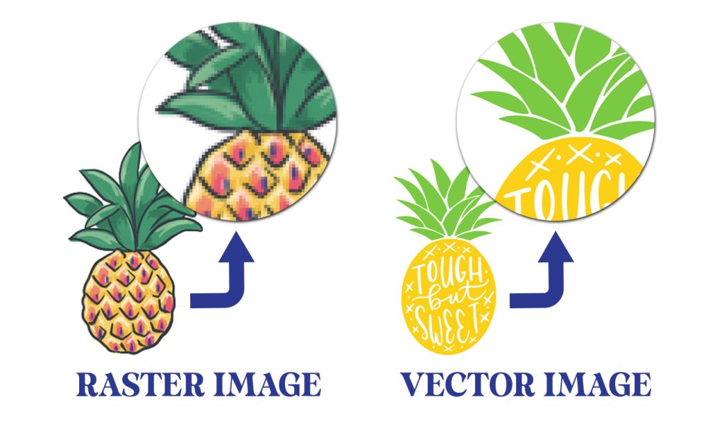 pineapple graphics showing difference between raster image and vector image