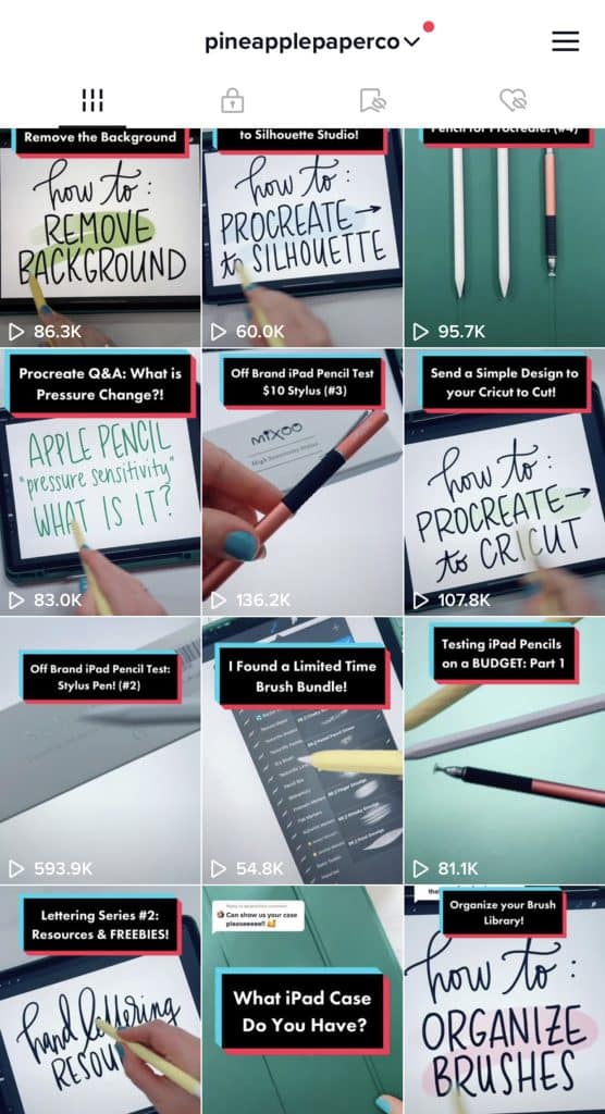 pineapplepaperco tiktok account screenshot
