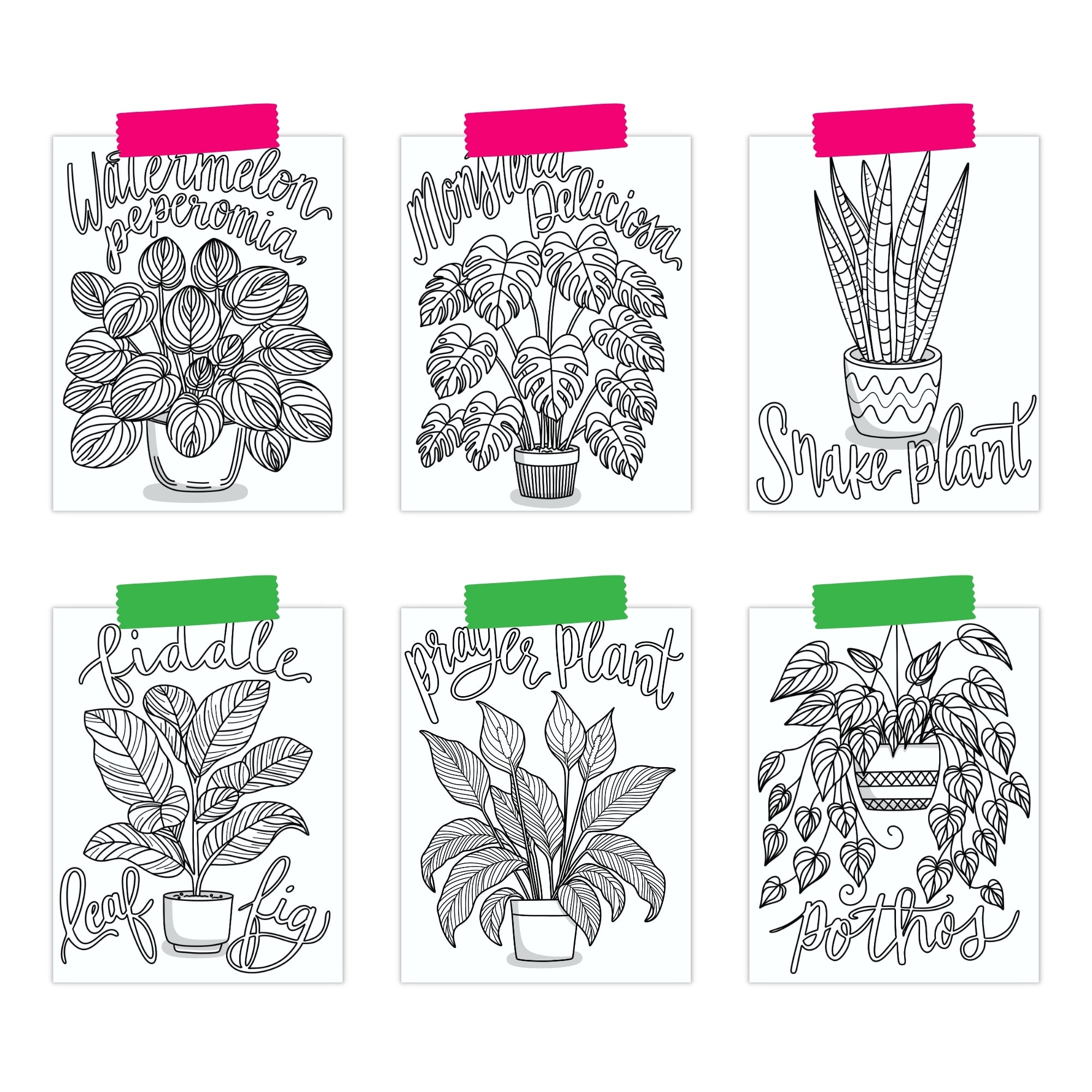 Houseplant Coloring Pages - Image 3