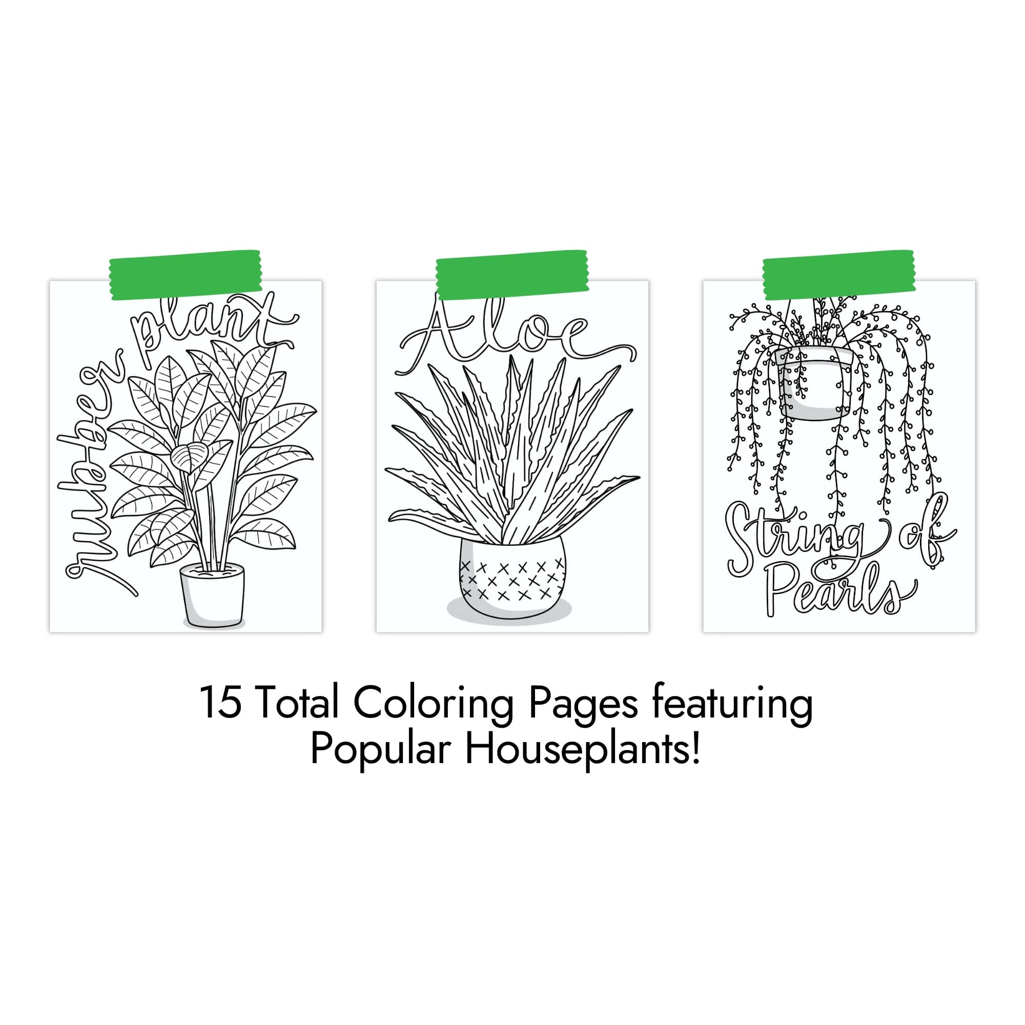 Houseplant Coloring Pages - Image 5