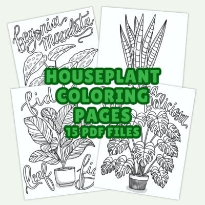 Houseplant Coloring Pages